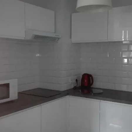 公寓 Maneki Neko *